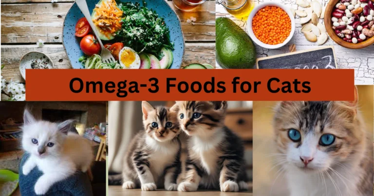 Omega-3 for Cats