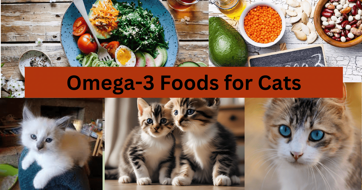 Omega-3 for Cats