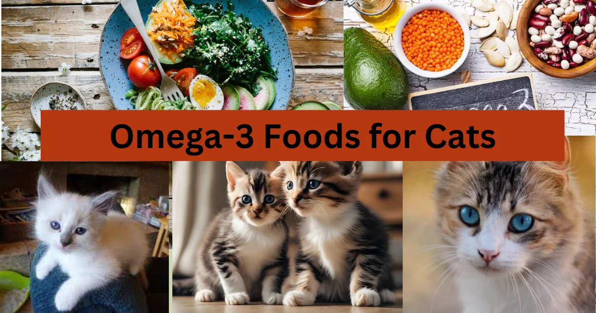 Omega-3 for Cats