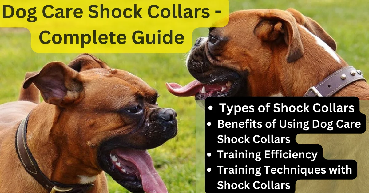 Dog Care Shock Collars